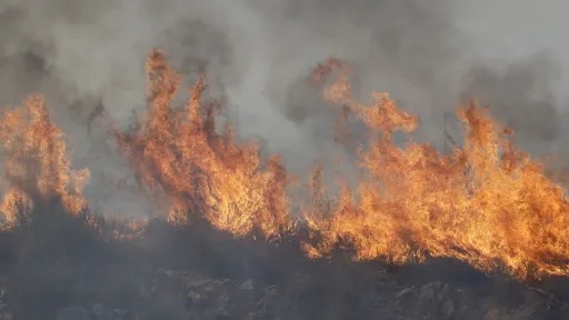 Morocco extinguishes forest fires in northern, central regions