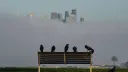 Австралияда «H5N1» құс тұмауына қатысты тағы бір күдікті жағдай анықталды