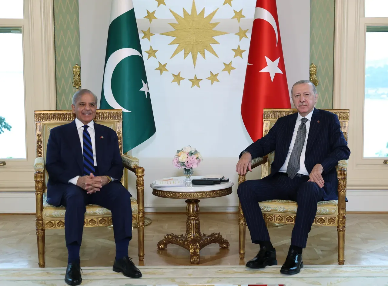 Rais wa Uturuki Erdogan amempokea Waziri Mkuu wa Pakistan Sharif mjini Istanbul