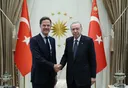 أردوغان وروته يبحثان أجندة قمة الناتو وقضايا إقليمية وعالمية