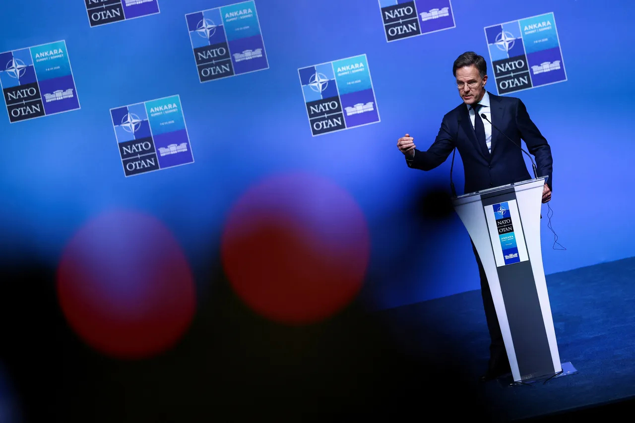 More than a NATO summit: Ankara takes centre stage in global diplomacy