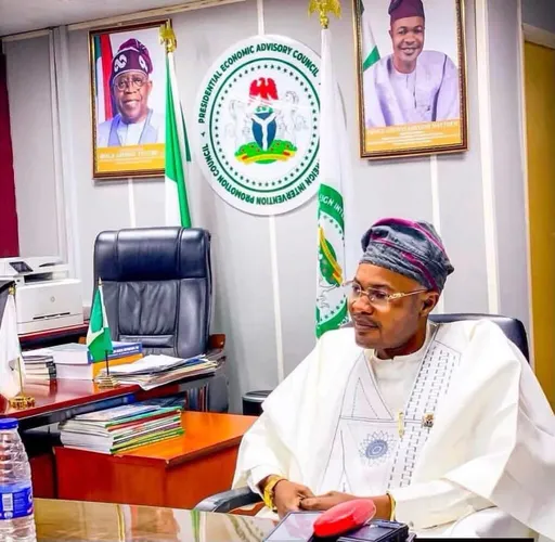Adeyemi saga: The bizarre story of Nigeria’s ‘fake’ presidential council