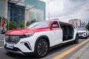 Türkiye unveils custom Togg limousines for leaders attending NATO summit in Ankara