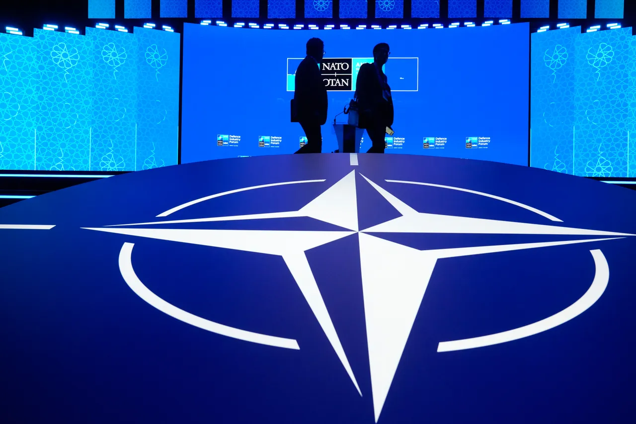 Kosiniak-Kamysz i Sikorski podsumowali szczyt NATO. Efekty powyżej oczekiwań
