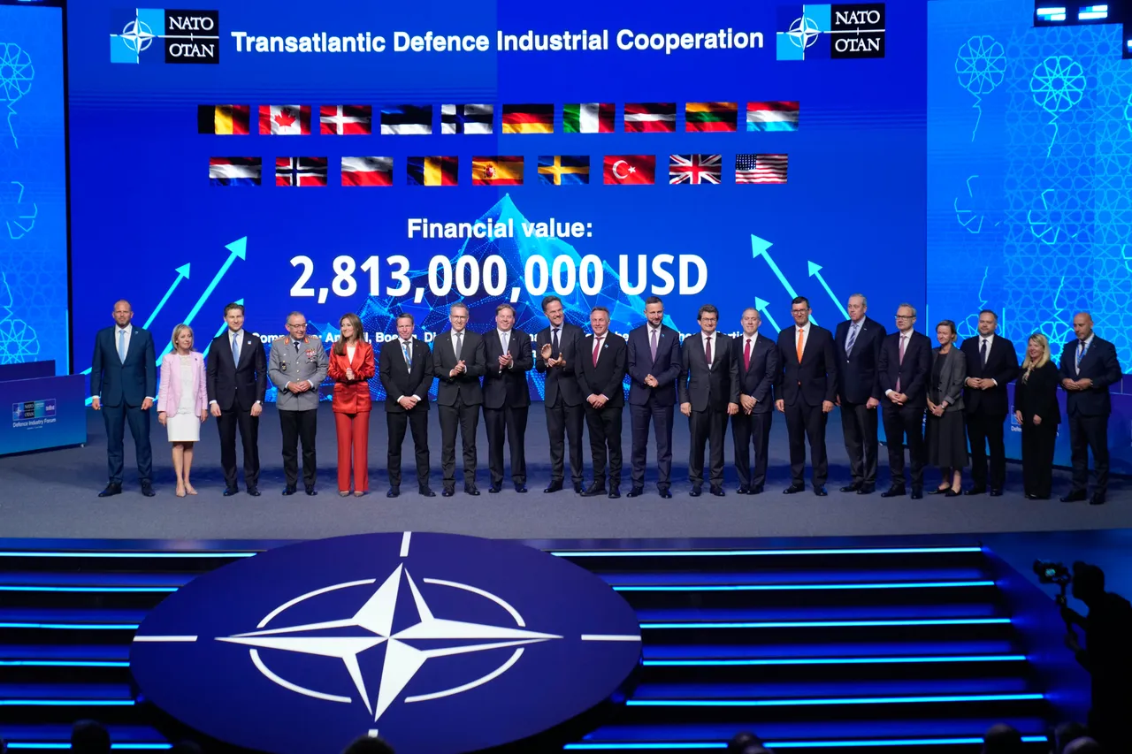 Szczyt NATO w Ankarze. Kosiniak-Kamysz o Patriotach, wsparciu dla Ukrainy i jedności Sojuszu