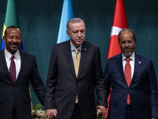 Türkiye-Africa security ties gain momentum in a changing world order