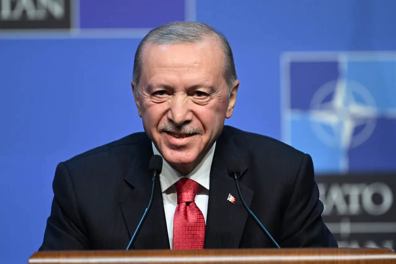 Rais Erdogan: Mkutano wa NATO ulikuwa wa mafanikio makubwa