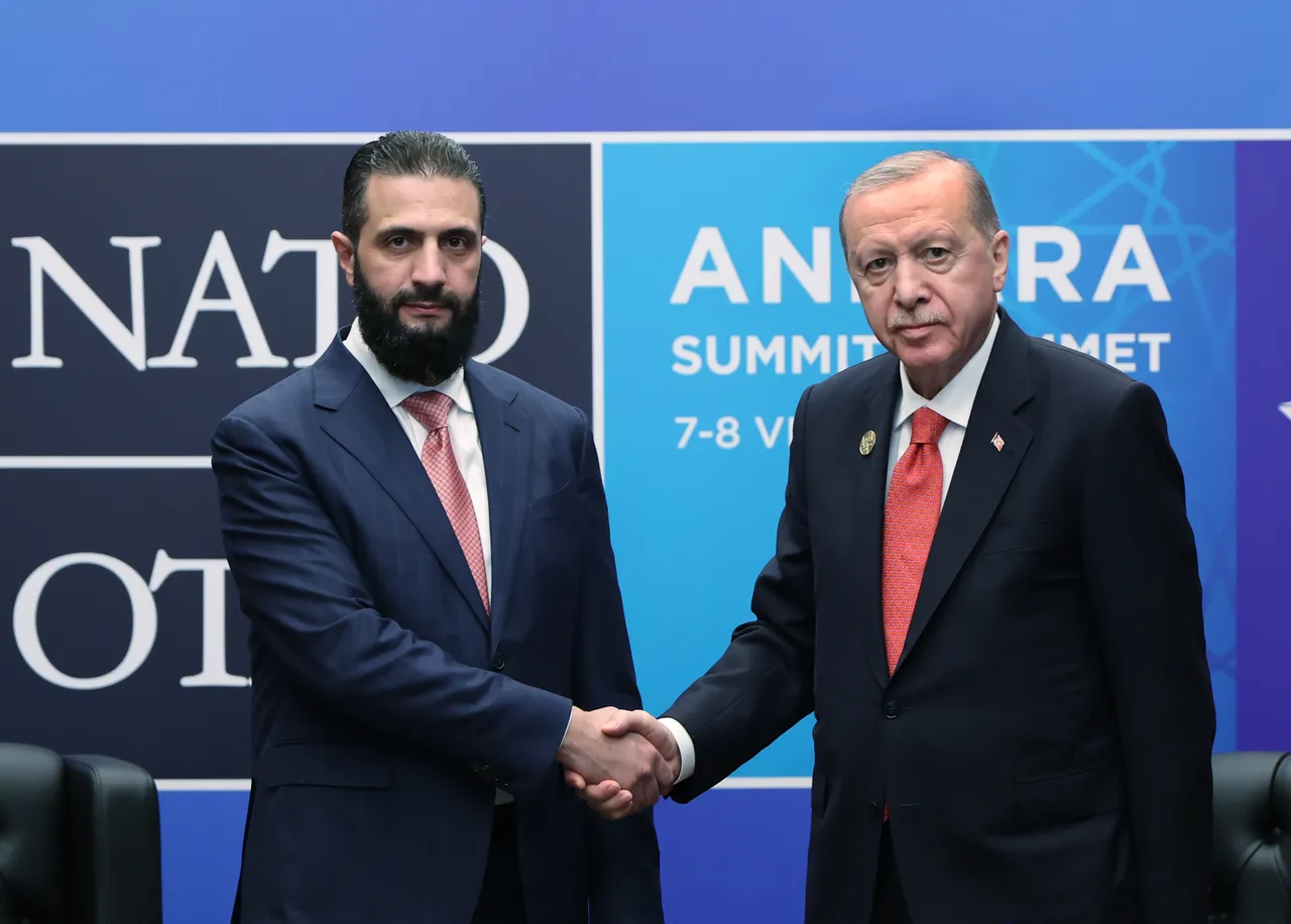 Erdogan, al Sharaa discuss strengthening Türkiye-Syria cooperation during Ankara summit