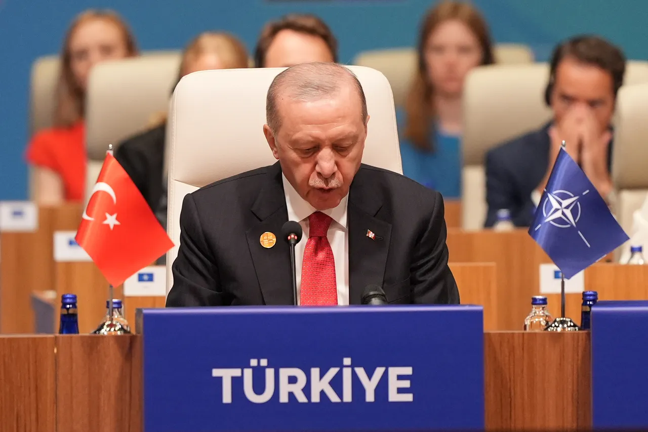 أردوغان: نمتلك أكبر جيش بري بأوروبا ونحرص على وضع قدراتنا في خدمة الناتو
