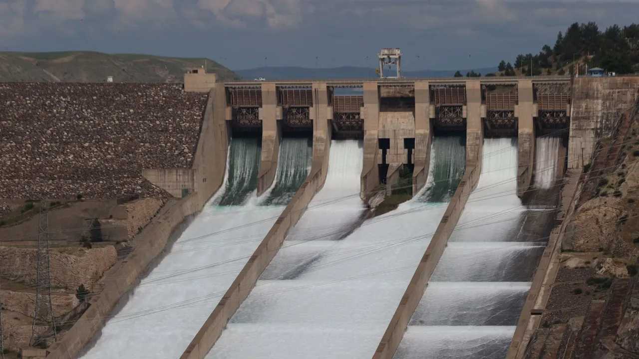 Egypt 'will not allow' any party to control Nile waters, official tells state news agency