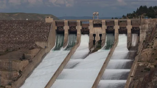Egypt 'will not allow' any party to control Nile waters, official tells state news agency