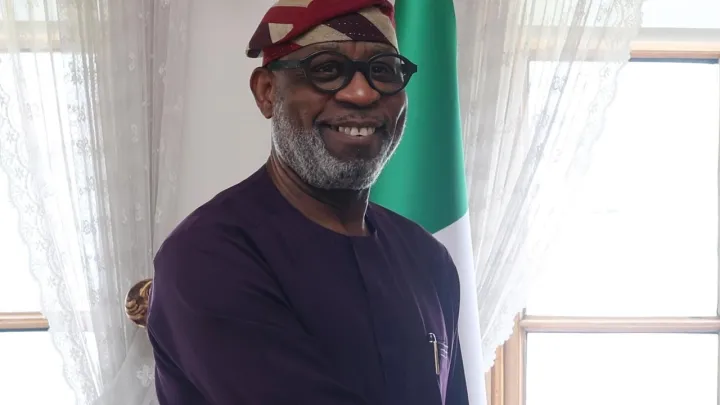 Akwai ramukan haƙar ma'adinai fiye da 4,000 da aka yi watsi da su a Filato — Alake