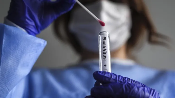 Mobile gold miners in eastern DRC complicate health workers' efforts to contain Ebola