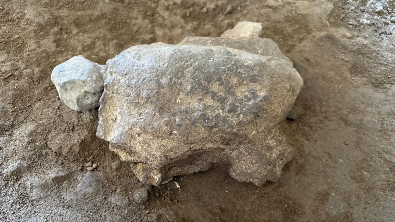 Törkiyädä 25 taşbaqa figurası tabılğan