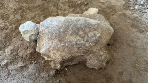 Törkiyädä 25 taşbaqa figurası tabılğan