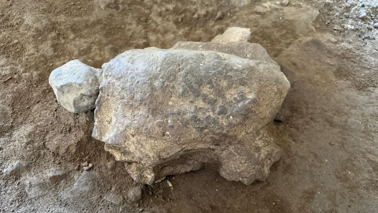 25 estatuetas de tartarugas com 16 500 anos foram descobertas na Türkiye