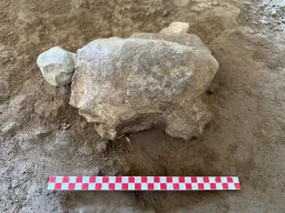 25 estatuetas de tartarugas com 16 500 anos foram descobertas na Türkiye