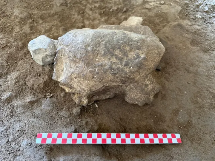 25 estatuetas de tartarugas com 16 500 anos foram descobertas na Türkiye