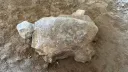 25 estatuetas de tartarugas com 16 500 anos foram descobertas na Türkiye