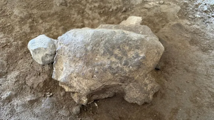 25 estatuetas de tartarugas com 16 500 anos foram descobertas na Türkiye