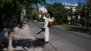 Gretsiyädä soñğı atnada Könbatış Nil virusı arqasında altı keşe ülgän
