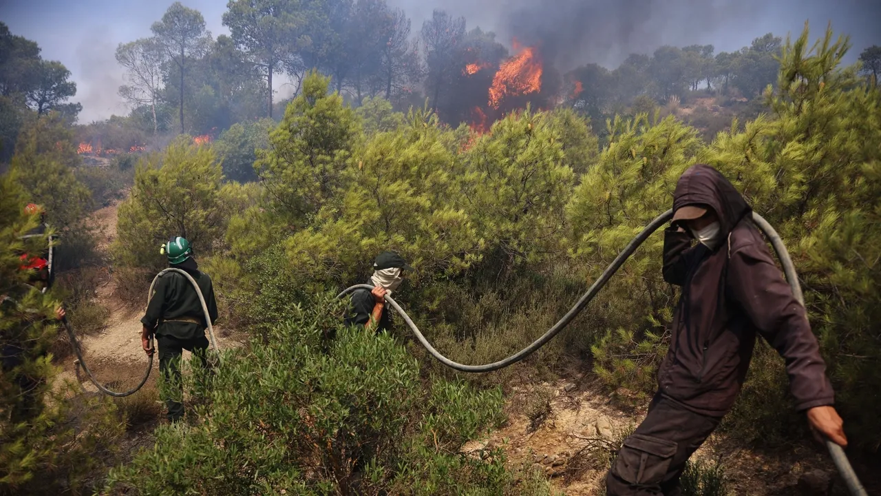 Incêndios florestais matam pelo menos 12 pessoas em toda a Argélia, onda de calor severa em África