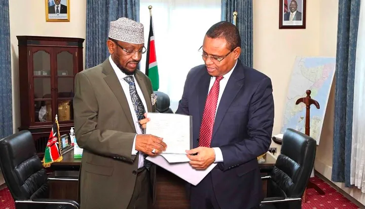 Somali deputy PM renounces Kenyan citizenship after airport dispute
