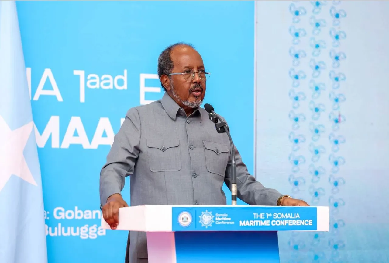 Somali president hails Türkiye’s strategic role in maritime security, blue economy