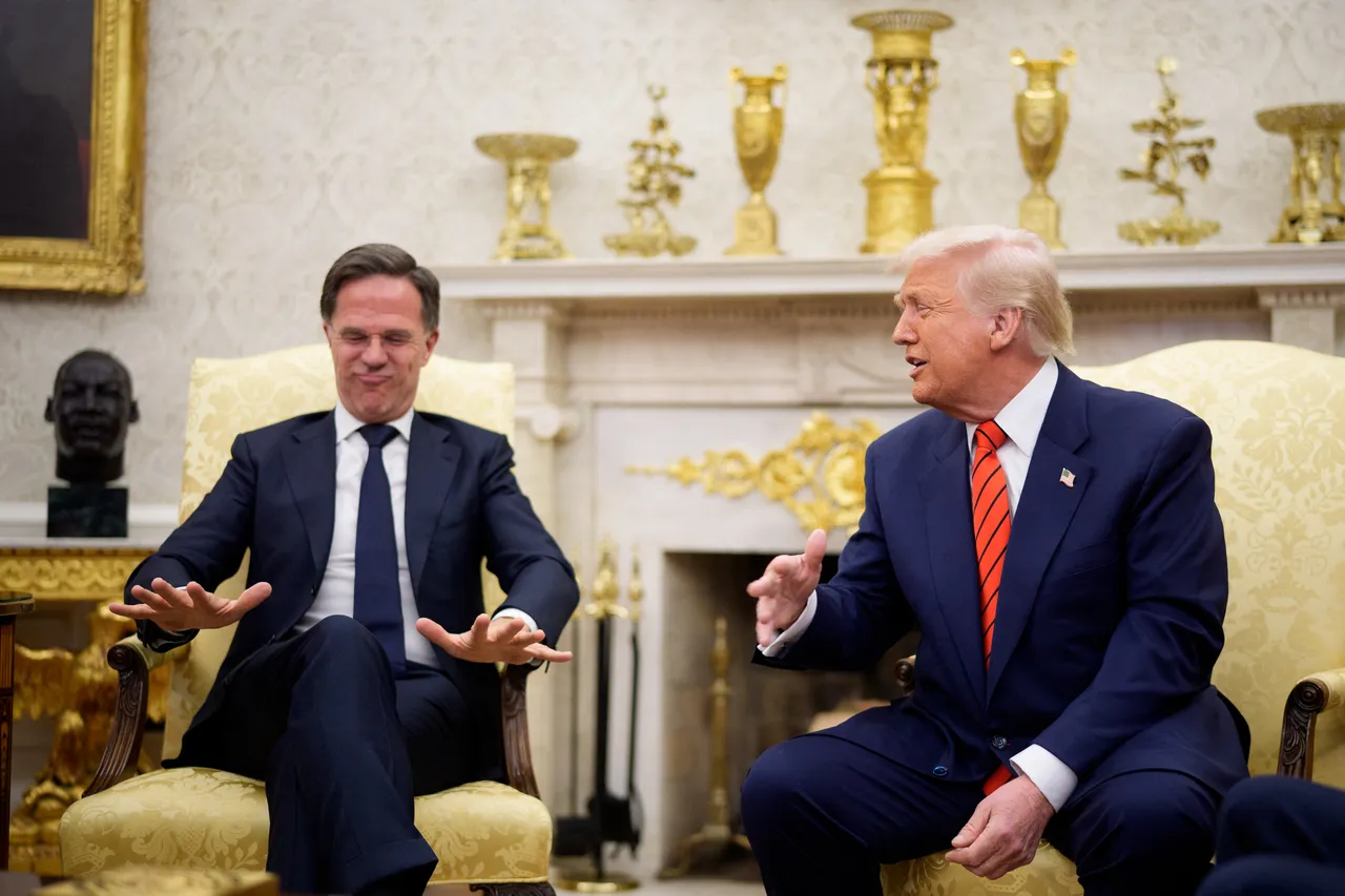 Rutte to US, Europe: Now's not the time to go alone