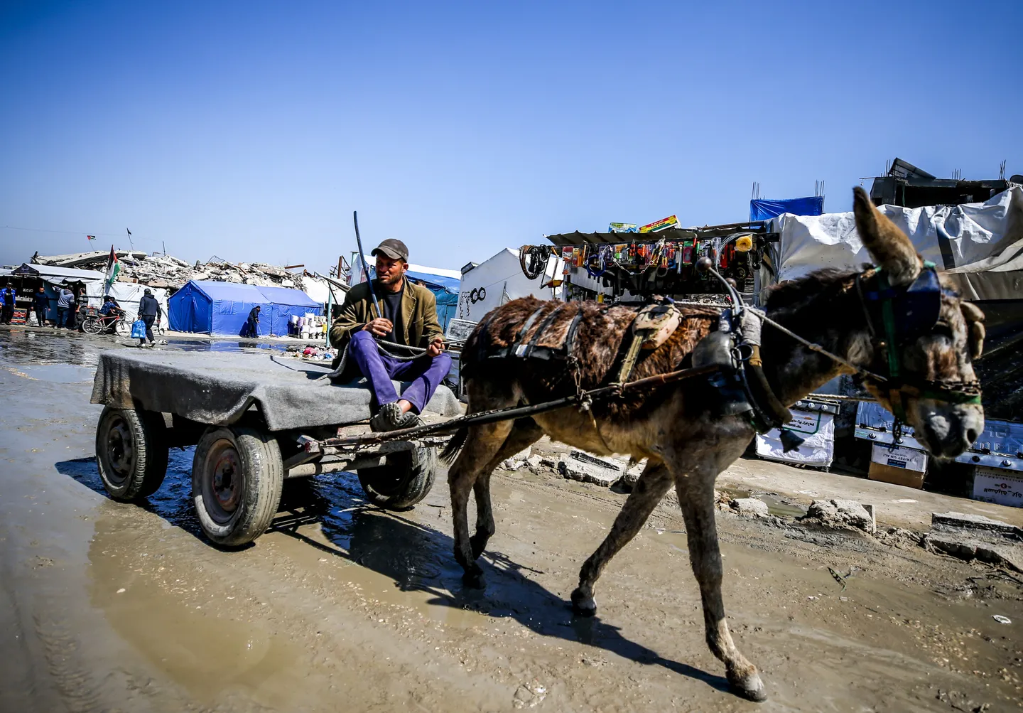 شهداء في قصف للاحتلال على غزة.. وتحذير أممي من تدهور الأمن الغذائي
