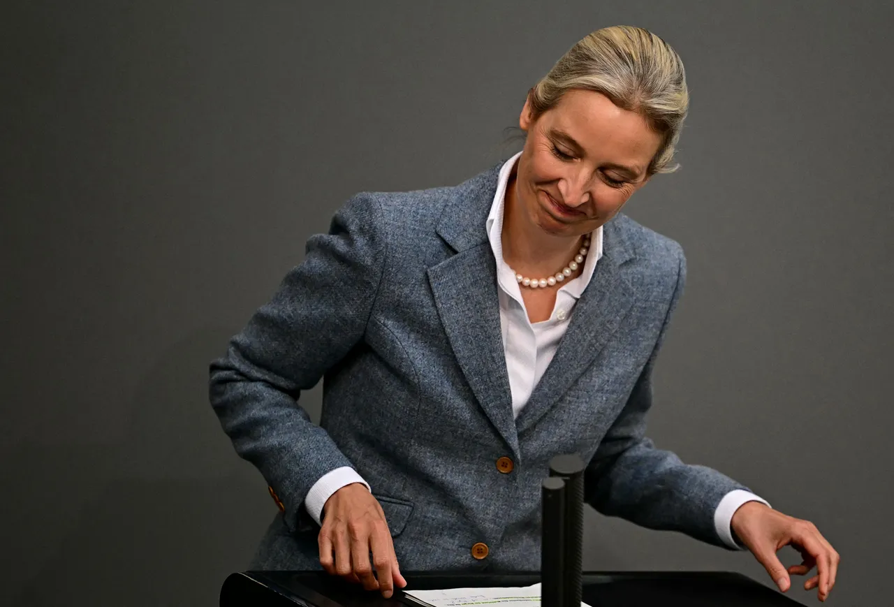 Studie: Brandmauer zur AfD in Kreisen und Kommunen löchrig
