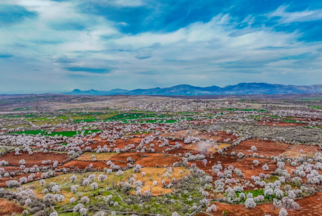 هدف‌گذاری ترکیه برای کسب درآمد ۶۵ میلیارددلاری از گردشگری
