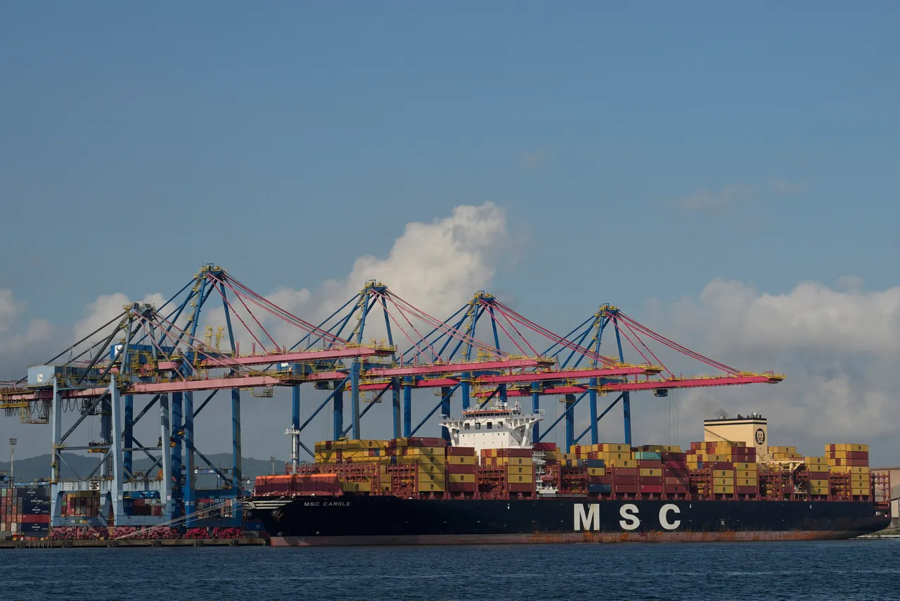 Trump's tariff strategy may trigger significant shipping disruptions: executives