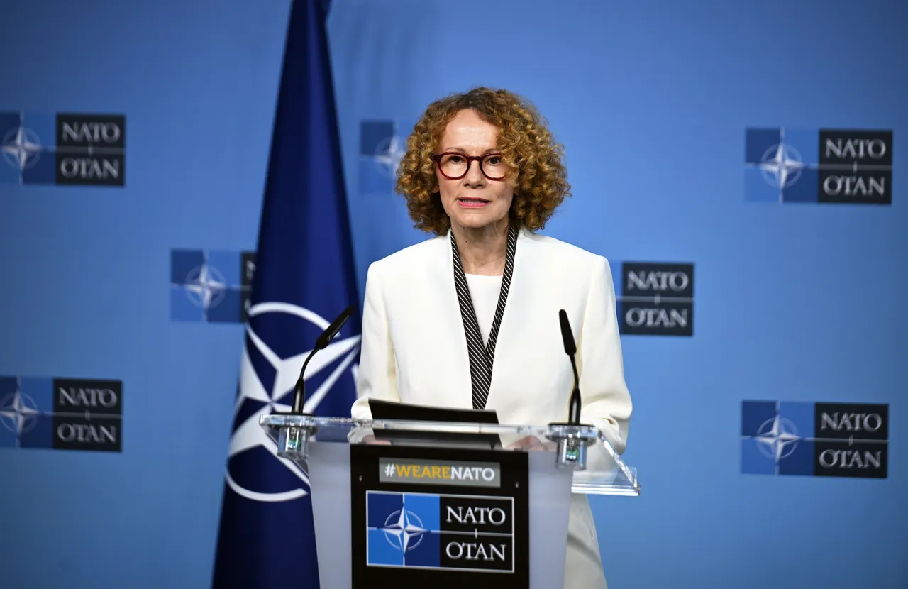 Шекеринска: НАТО нема да дозволи мирот во БиХ да биде загрозен