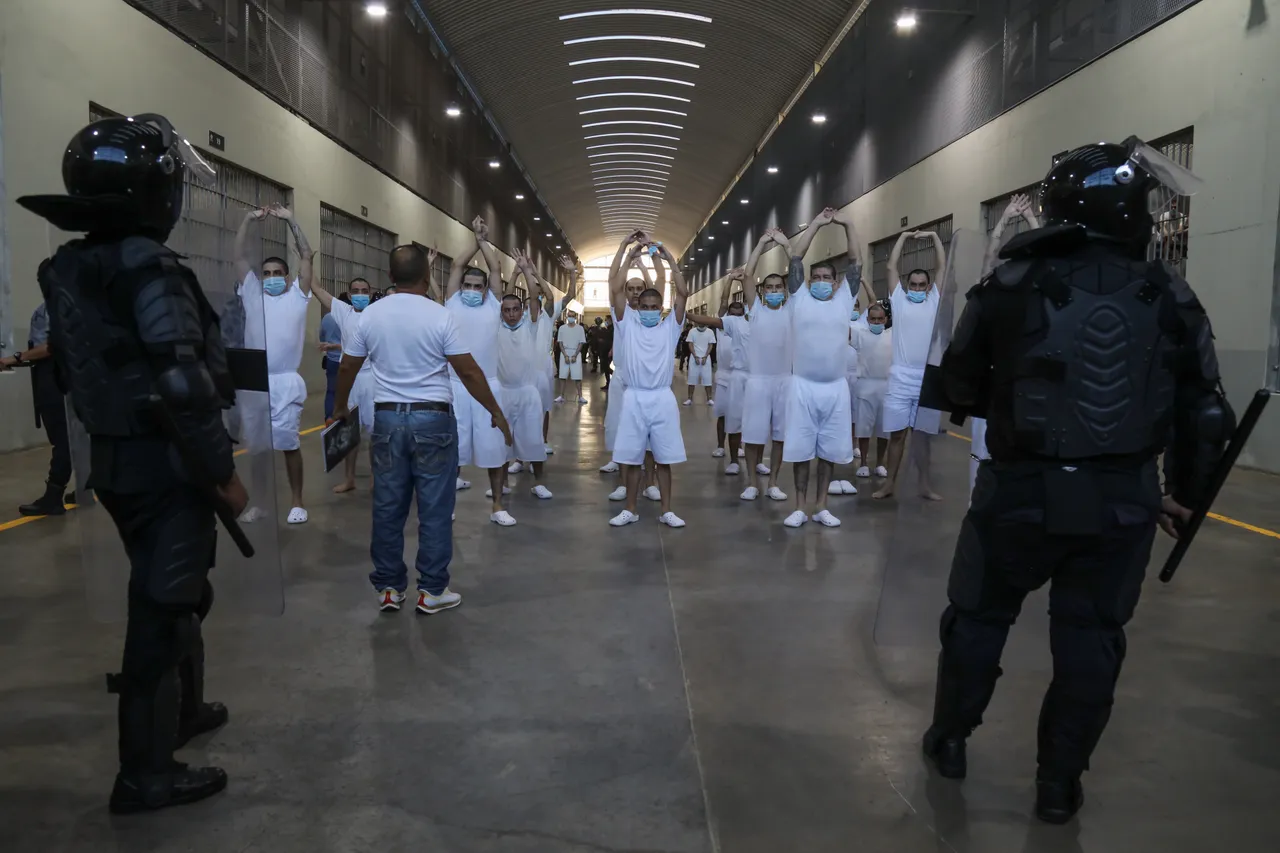 Bukele planea duplicar tamaño de megacárcel para recibir a más deportados de EE.UU.: reporte