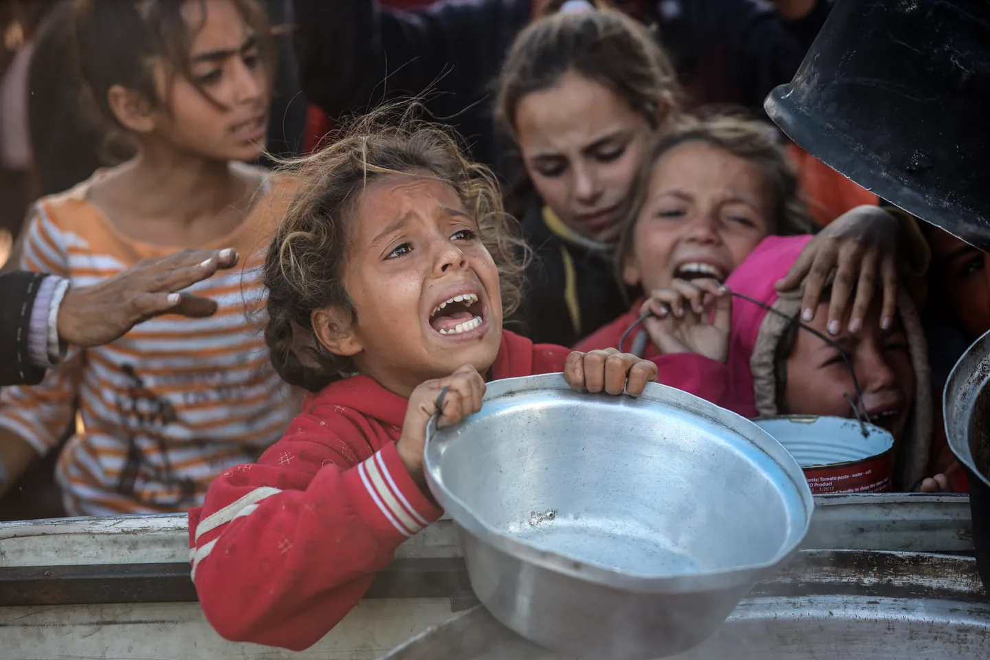 “Salvo las bombas, todo escasea en Gaza”: Palestina acusa a Israel de usar el hambre como arma