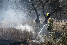 Serbia i ofron ndihmë Izraelit për shuarjen e zjarreve