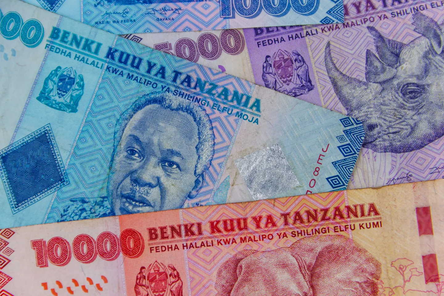 Benki Kuu Tanzania yakazia matumizi ya fedha za nchi kwa biashara za ndani