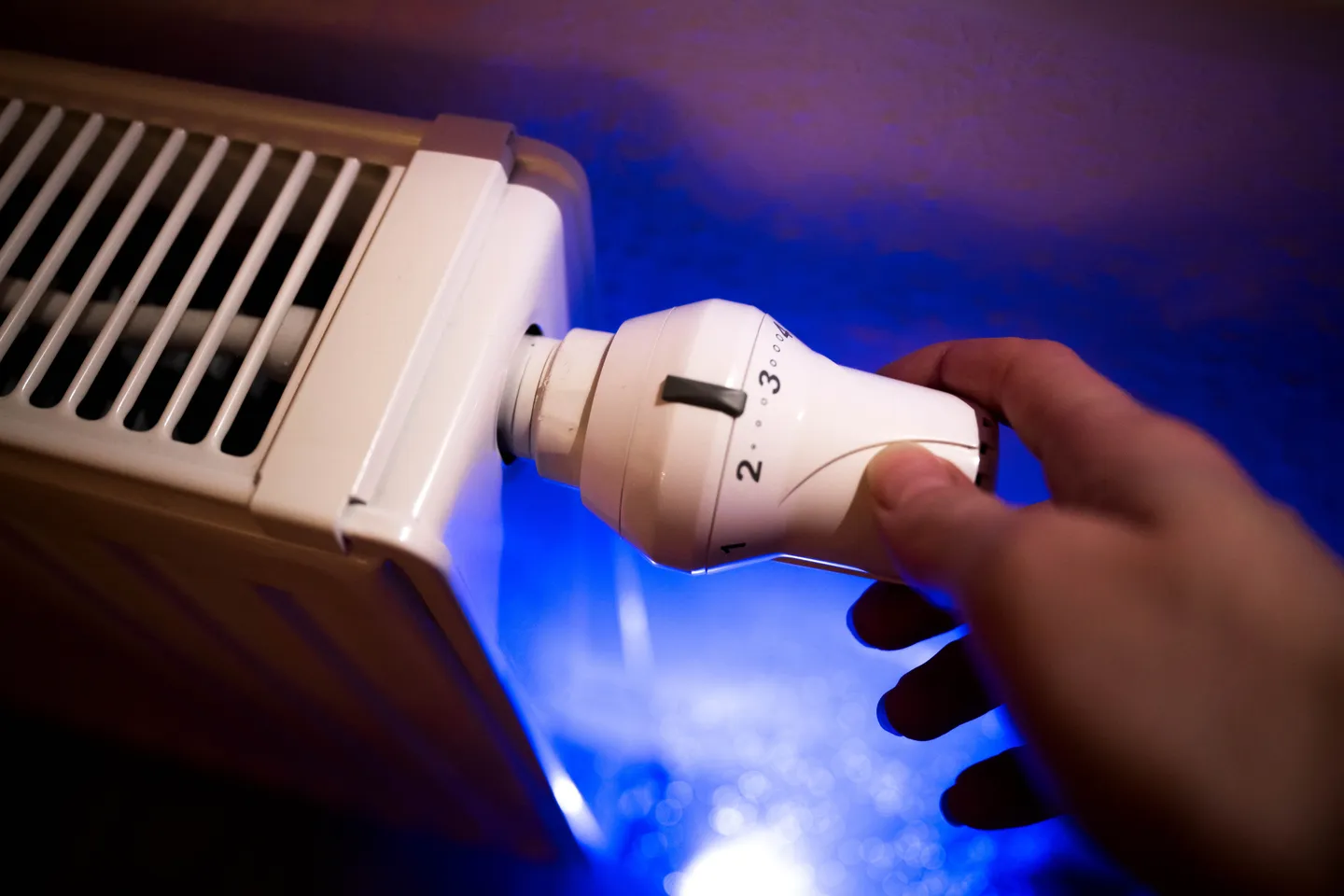 Hohe Gaspreise: Millionen frieren im Winter trotz Heizung