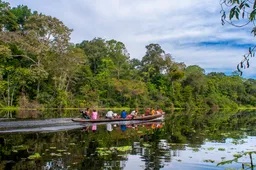 Niños indígenas mueren en Ecuador por leptospirosis: una tragedia silenciosa que golpea la Amazonía