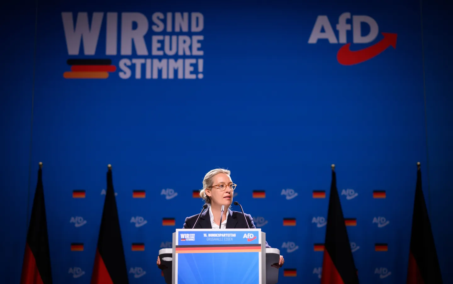 AfD-Verbot – Schutz der Demokratie oder Gefahr für den Zusammenhalt?