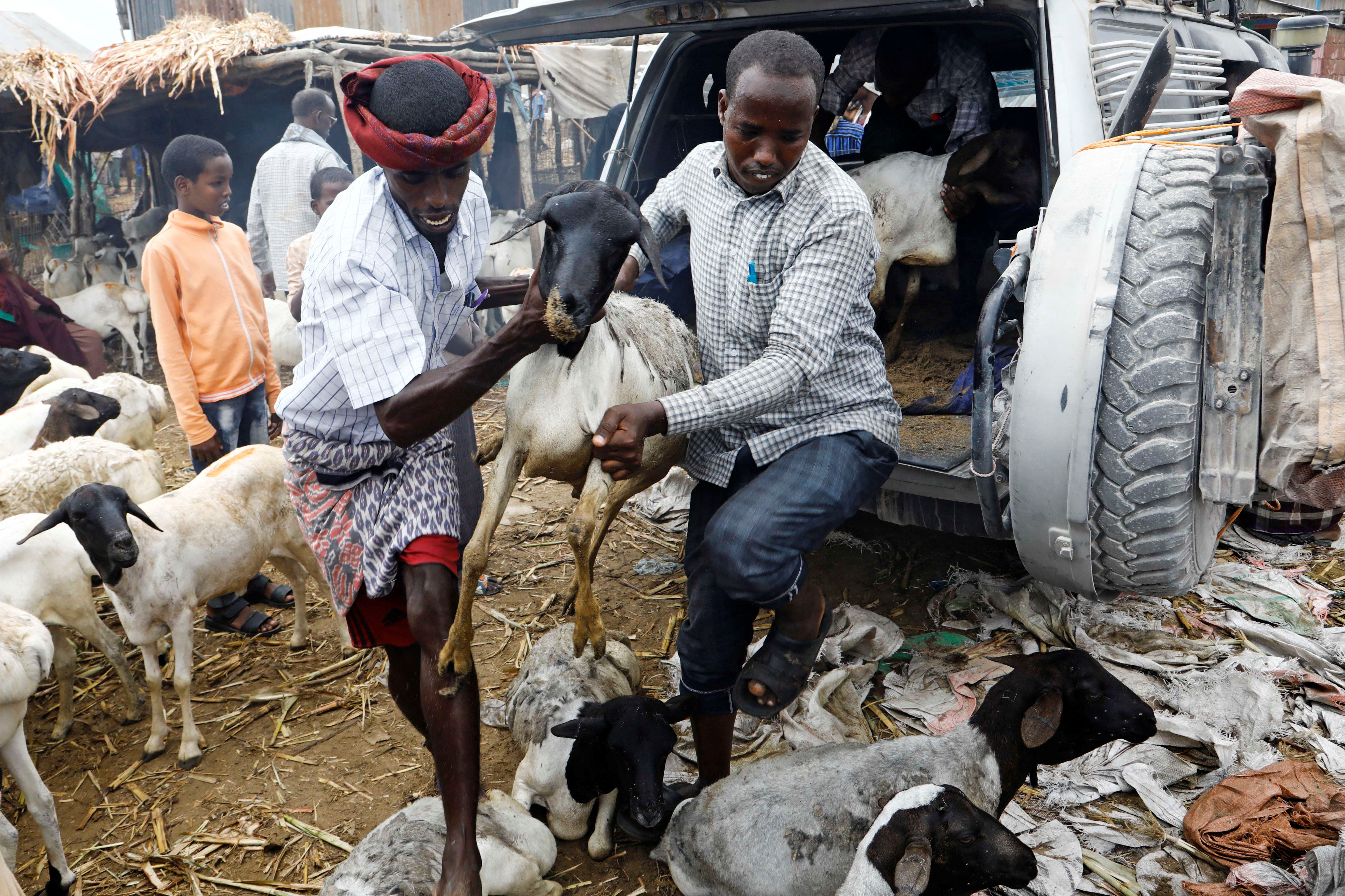 Le gouvernement nigérien interdit l'exportation d'animaux avant la fête de l'Aïd al-Adha
