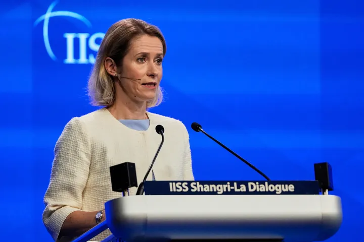 Trump 'tough love' on defence better than no love: EU's Kallas