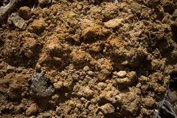Eleven children killed in Nigeria pit collapse