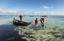 Ribolov je glavni izvor egzistencije na Zanzibaru