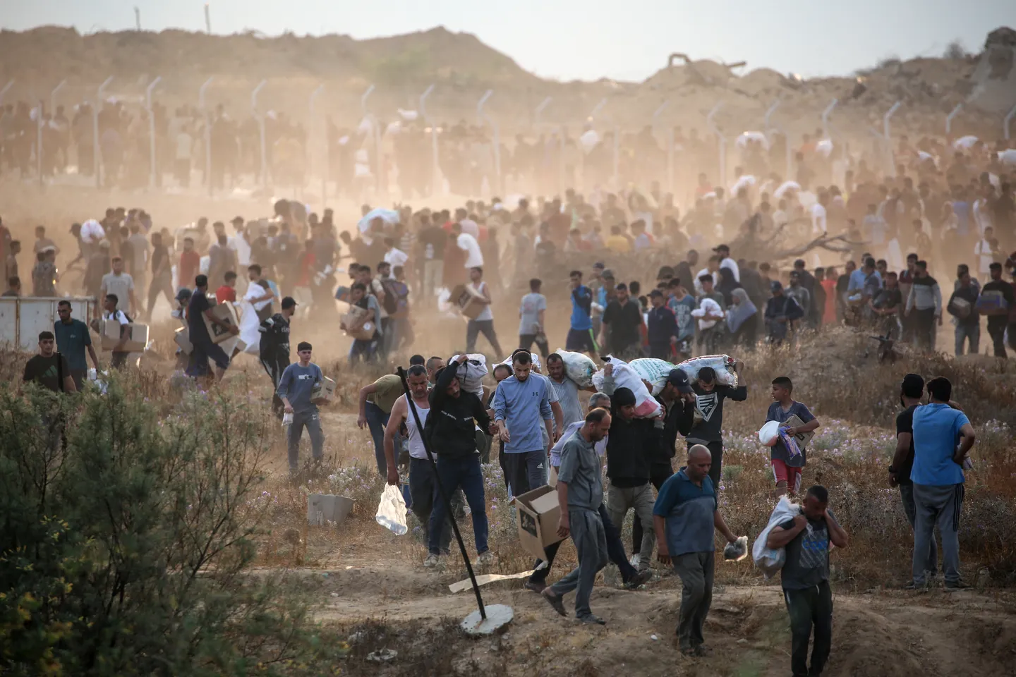 استمراراً لإبادة غزة.. الاحتلال يقتل 59 فلسطينياً الأحد بينهم باحثون عن الطعام