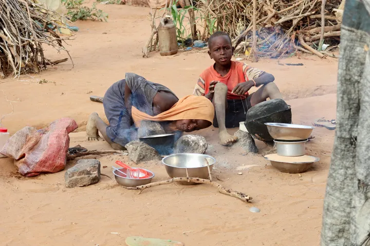 Sudanese refugees battle cholera as WHO warns of spread in Chad camps
