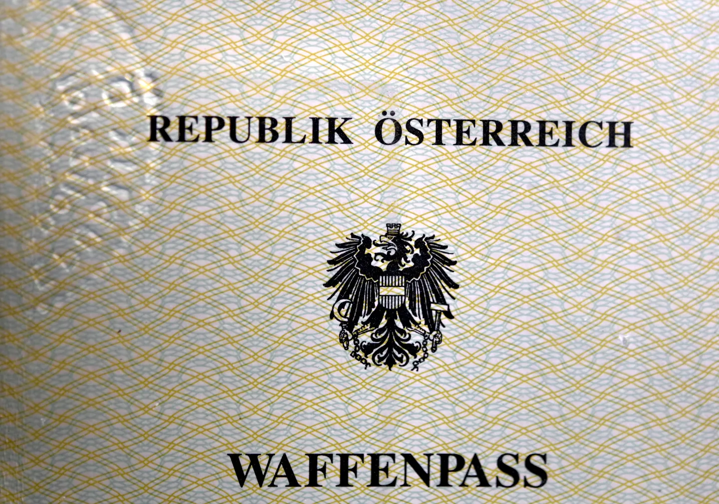 Österreichs Regierung beschließt nach Grazer Amoklauf schärferes Waffenrecht
