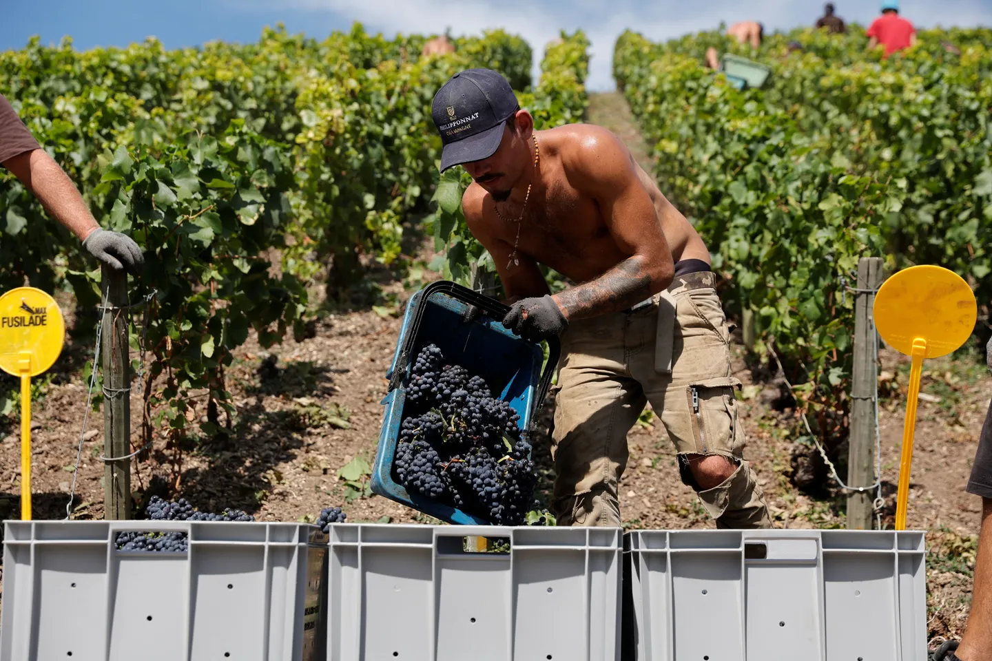 France: ouverture du procès pour traite d'êtres humains dans le vignoble de Champagne