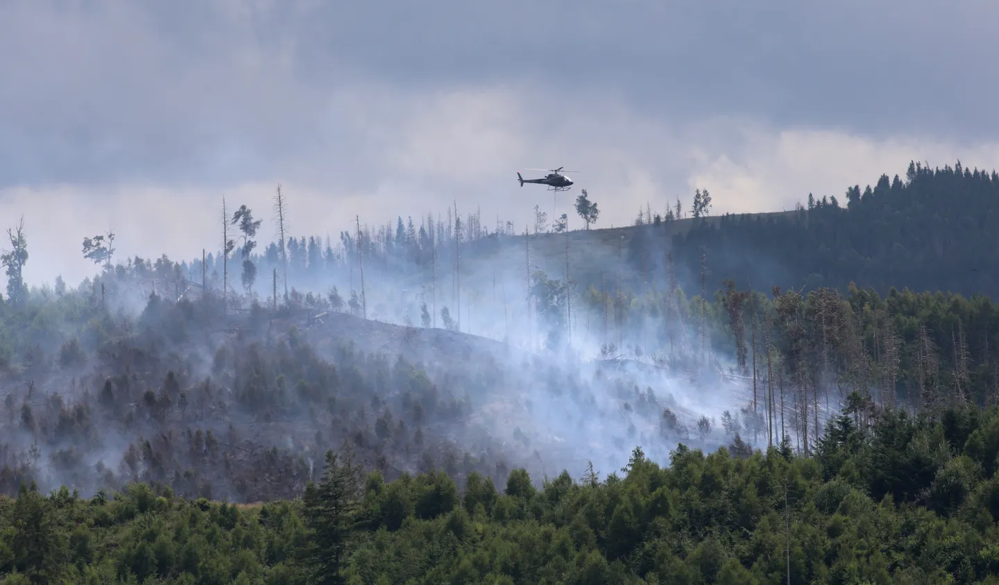 Waldbrand im Harz: Zahl der Einsatzkräfte wieder aufgestockt